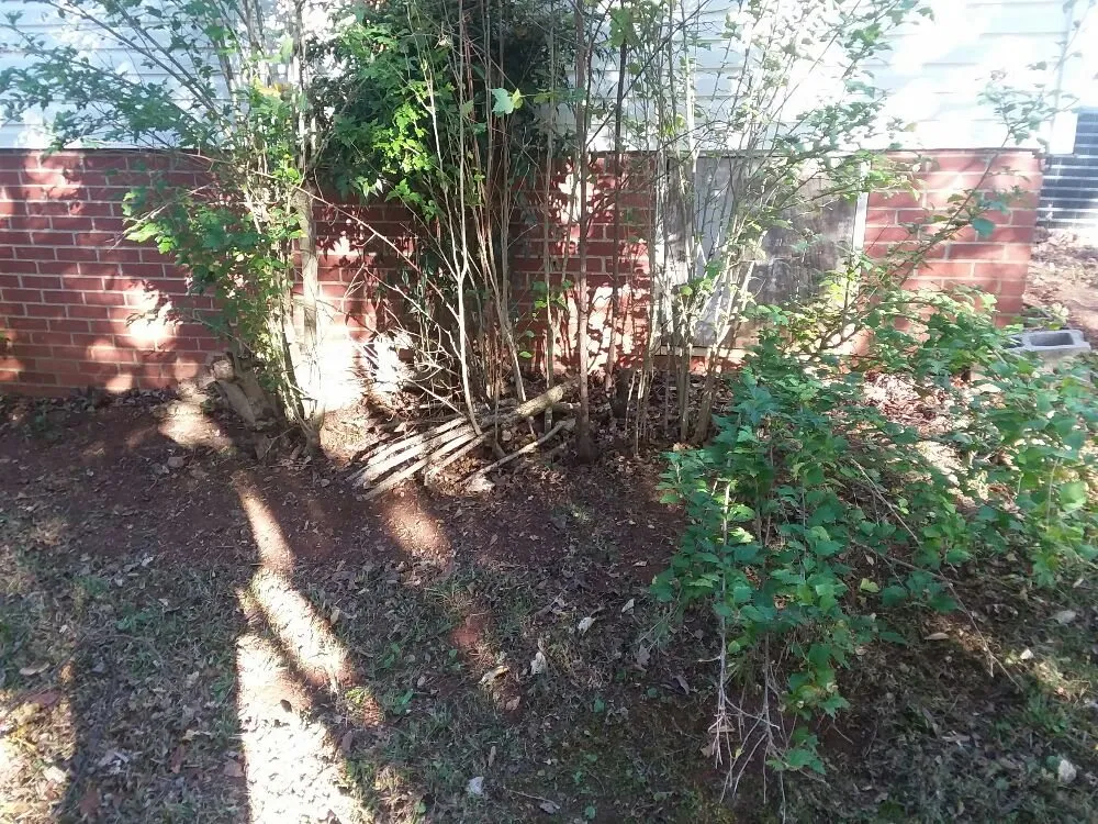 Expert outdoor landscaping for residential properties in Greer, SC by Wolf Spirit Lawn and Tree Care