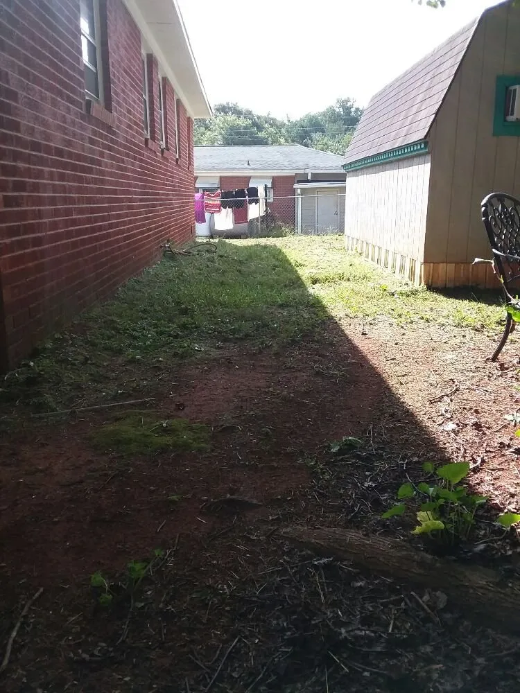 Reliable lawn mowing service for residential properties in Greer, SC by Wolf Spirit Lawn and Tree Care