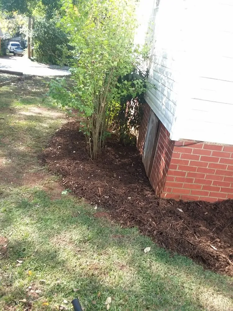 Trusted lawn mowing service in Greer, SC by Wolf Spirit Lawn and Tree Care