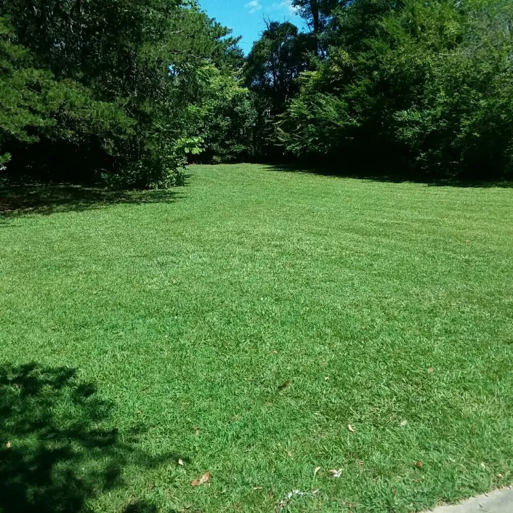 Professional outdoor landscaping for homes in Greer, SC by Wolf Spirit Lawn and Tree Care