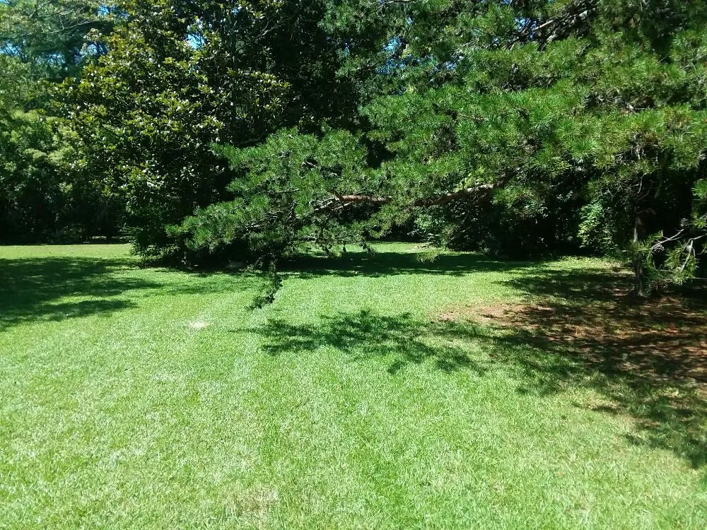 Local lawn mowing service for outdoor upgrades across Greer, SC - Wolf Spirit Lawn and Tree Care