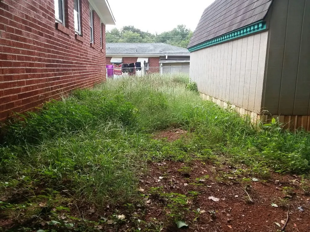 Reliable residential landscaping experts serving Greer, SC - Wolf Spirit Lawn and Tree Care