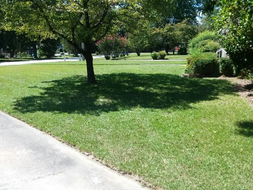 Reliable landscape installation experts serving Greer, SC - Wolf Spirit Lawn and Tree Care