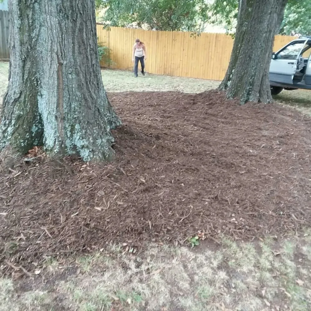 Expert yard maintenance for beautiful yards in Greer, SC by Wolf Spirit Lawn and Tree Care