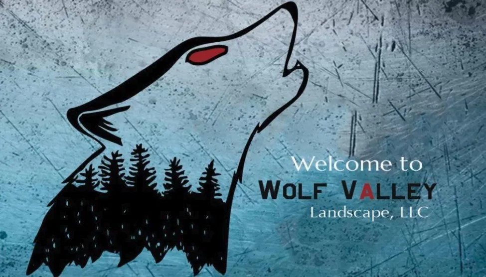 Professional lawn care service near you across Clinton, TN - Wolf Valley Landscape