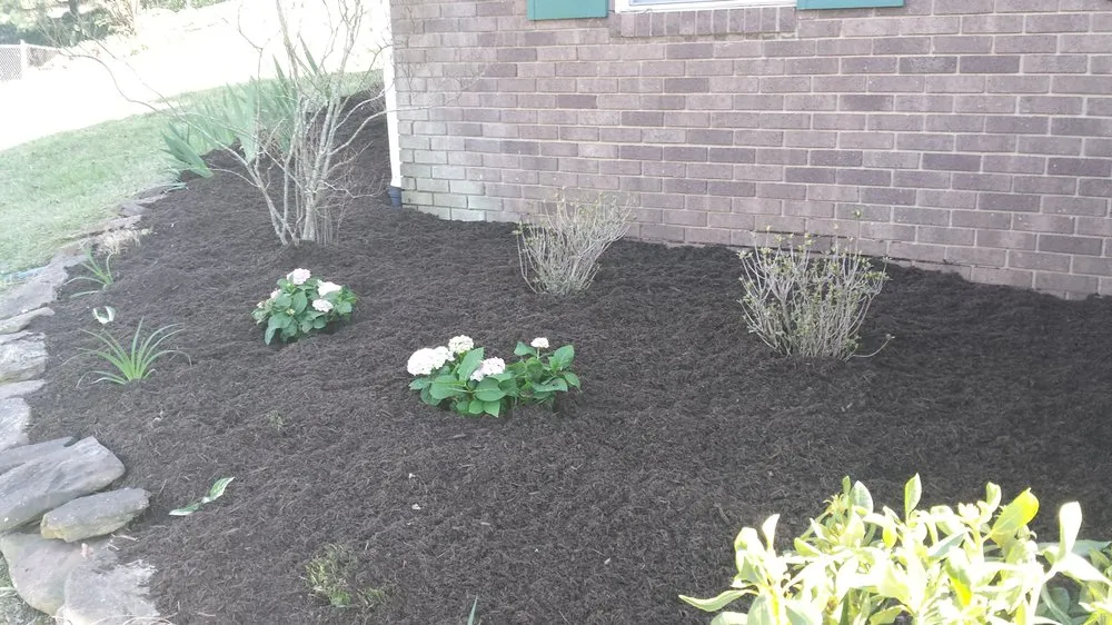 Trusted lawn care service near you across Clinton, TN - Wolf Valley Landscape