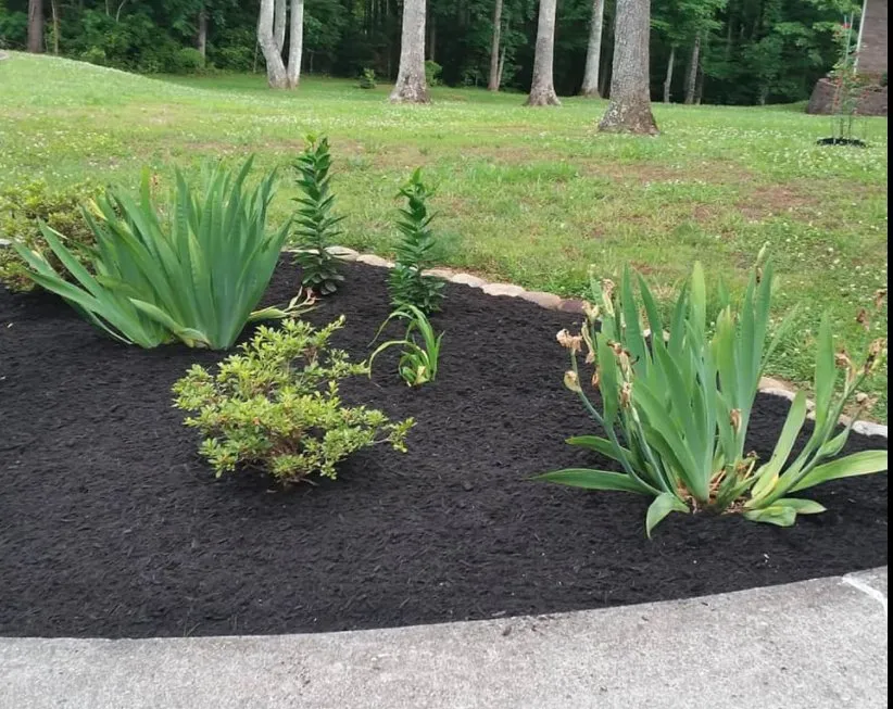 Top-rated lawn care service for residential properties across Clinton, TN - Wolf Valley Landscape