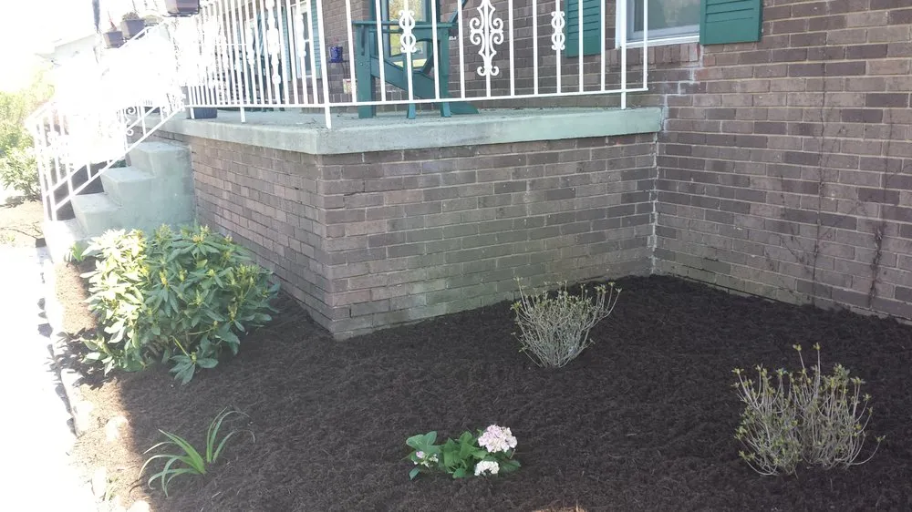 Professional lawn care service experts serving Clinton, TN - Wolf Valley Landscape