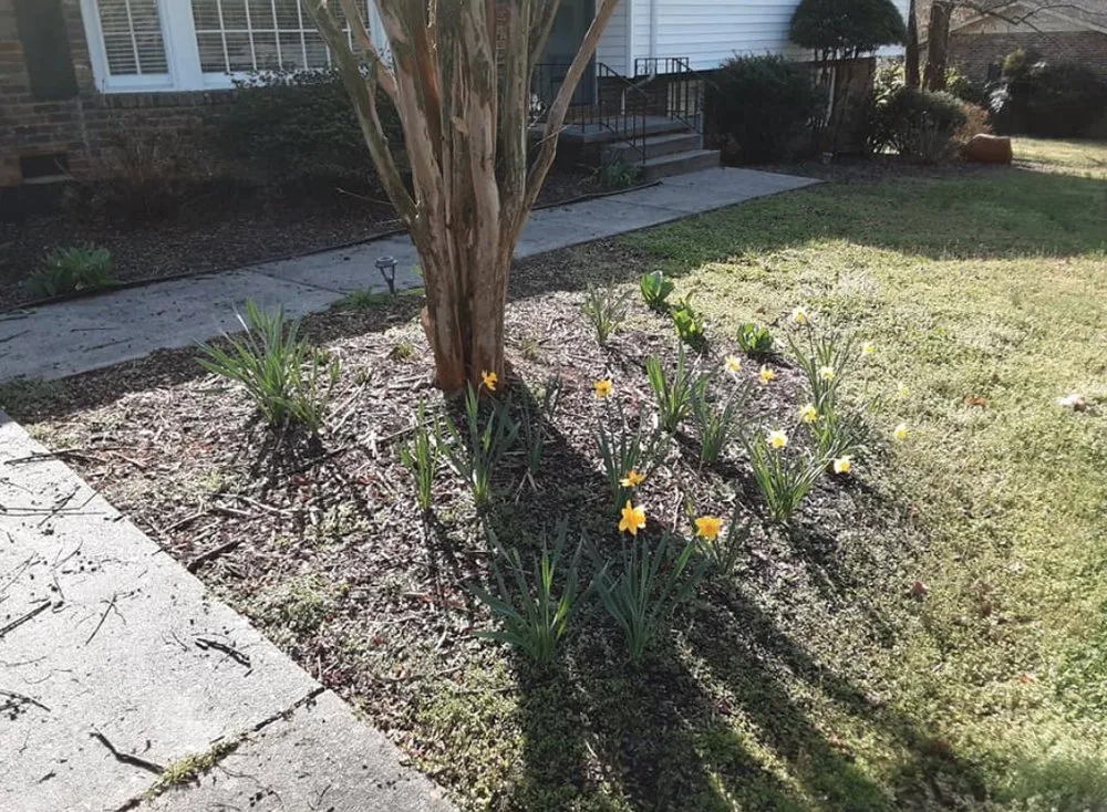 Local yard maintenance in Clinton, TN - Wolf Valley Landscape