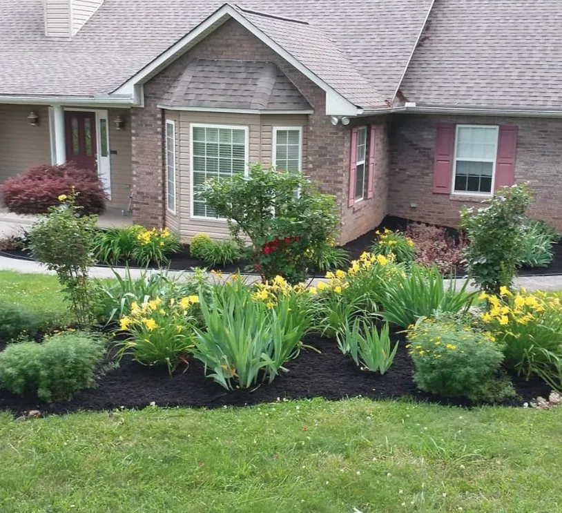 Custom lawn care service for homes in Clinton, TN by Wolf Valley Landscape
