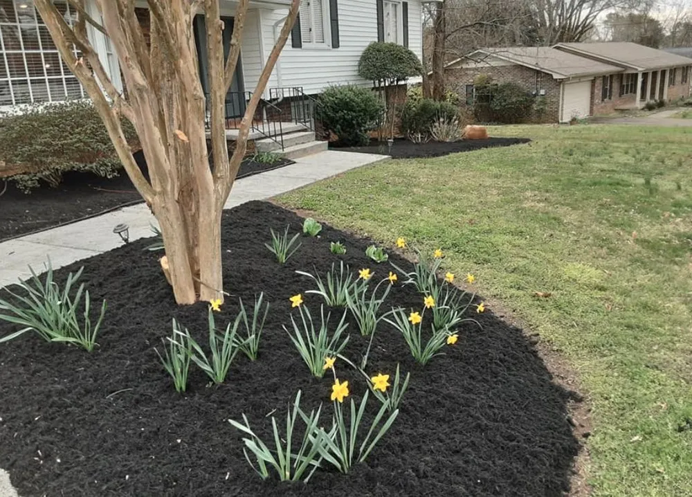 Trusted landscape design for homes across Clinton, TN - Wolf Valley Landscape