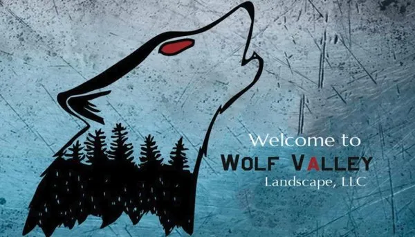Wolf Valley Landscape