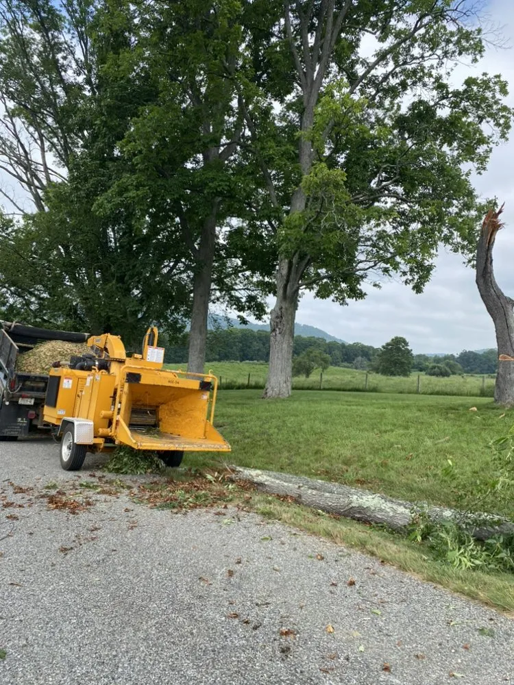 Custom outdoor landscaping for beautiful yards across Cedarville, OH - Wolfe Contracting