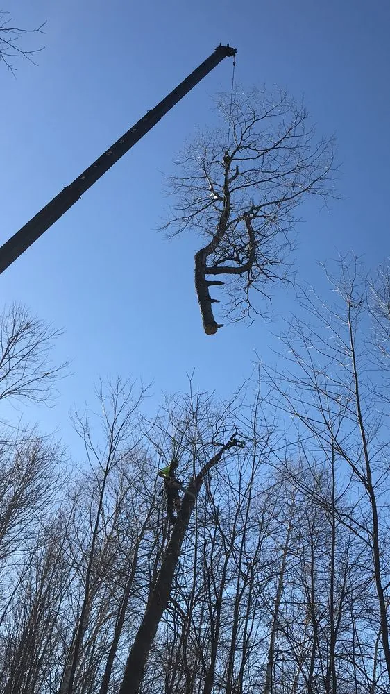 Expert outdoor landscaping experts serving Waterbury Center, VT - Wolfe Contracting