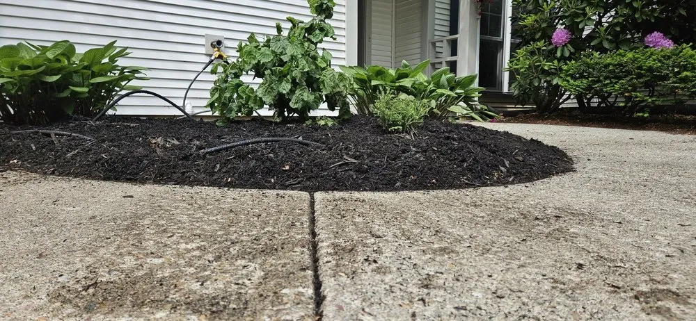 Reliable yard maintenance for residential properties in Burlington, VT by Wolfe Landscaping