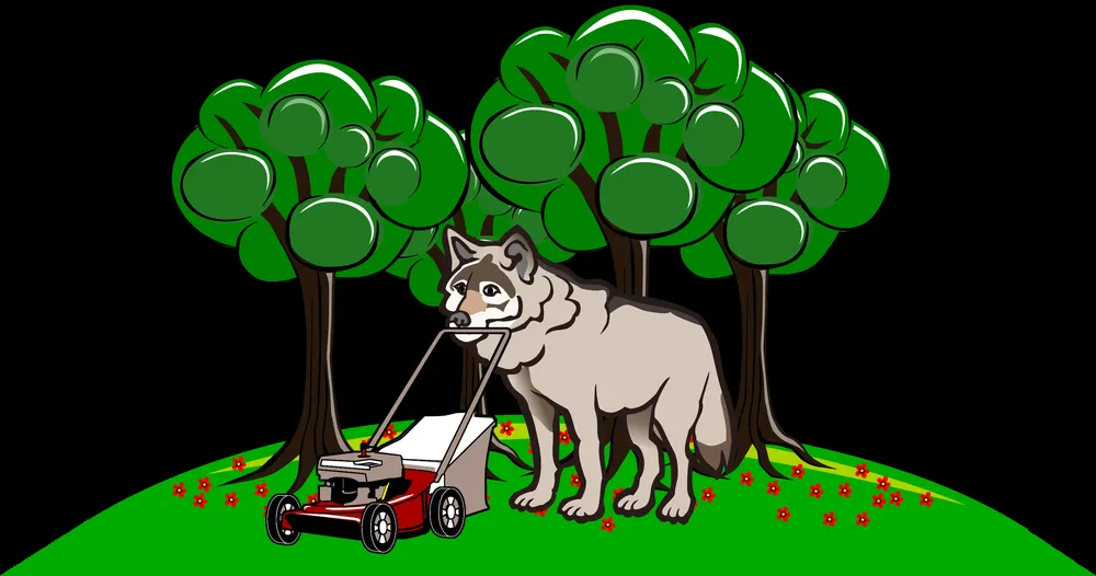 Professional residential landscaping experts serving Burlington, VT - Wolfe Landscaping