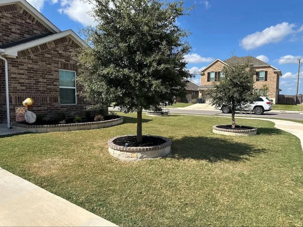 Reliable lawn care service in Georgetown, TX by Wolfe Outdoor Solutions