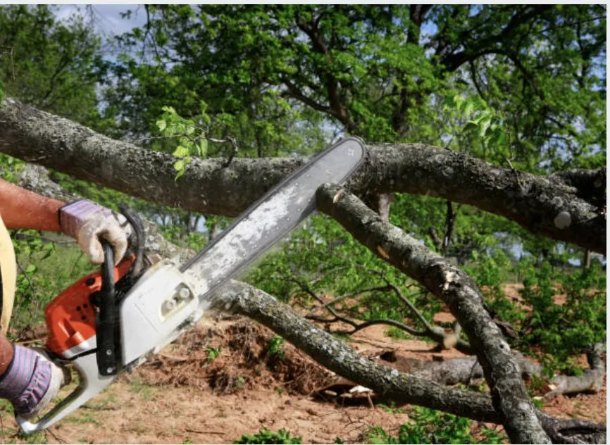 Expert landscape installation near you across Sioux City, IA - Wolfe-Sharp Lawn Service