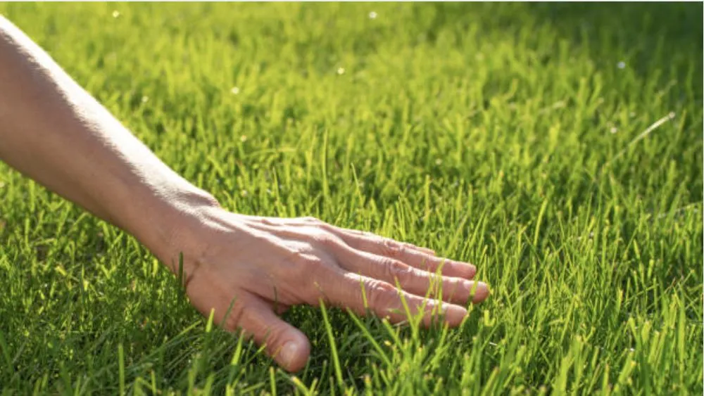 Custom residential landscaping in Sioux City, IA - Wolfe-Sharp Lawn Service