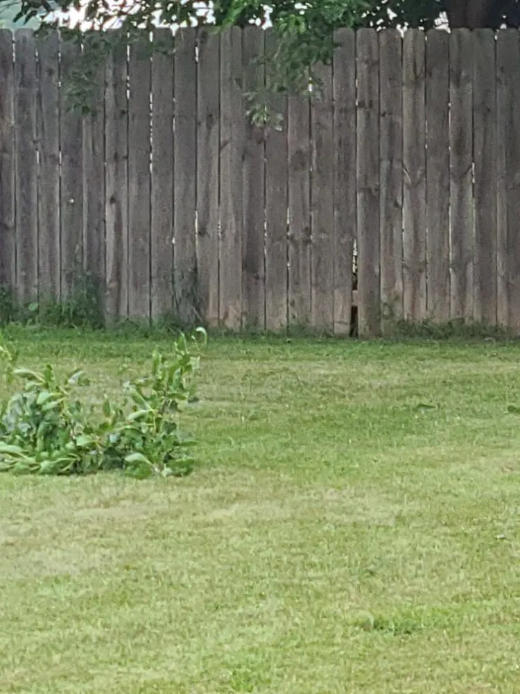 Expert landscape installation for homes in Sioux City, IA by Wolfe-Sharp Lawn Service