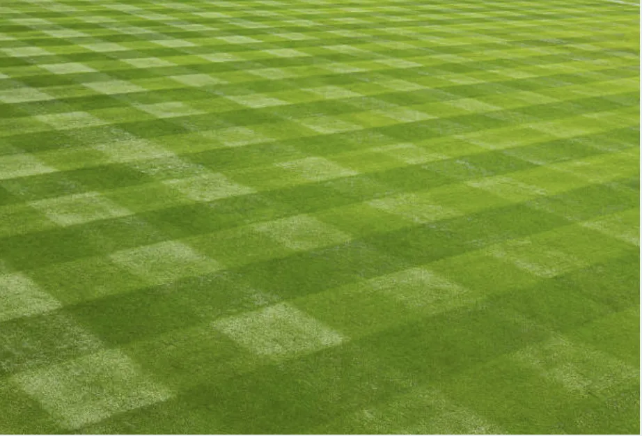 Custom landscaping services in Sioux City, IA by Wolfe-Sharp Lawn Service