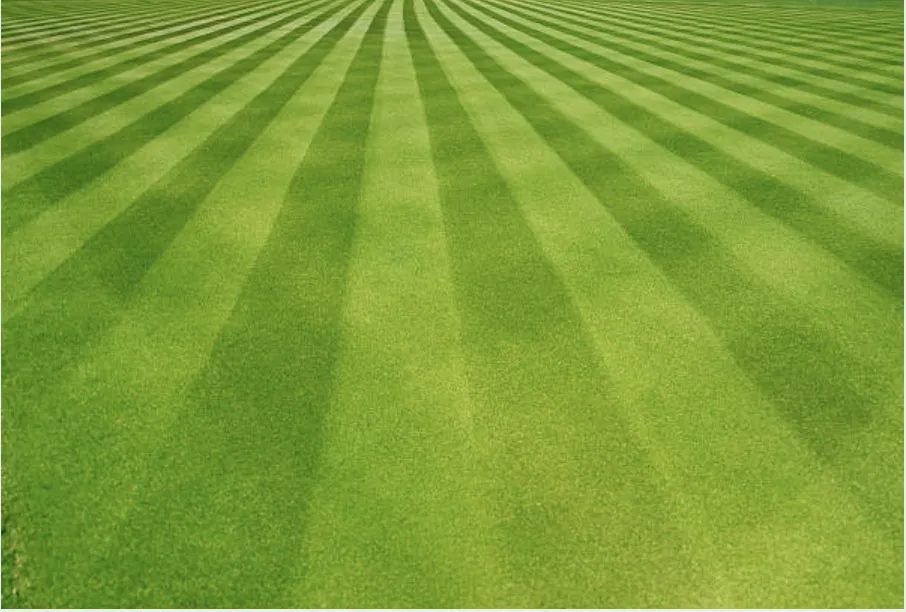 Local landscaping services in Sioux City, IA by Wolfe-Sharp Lawn Service