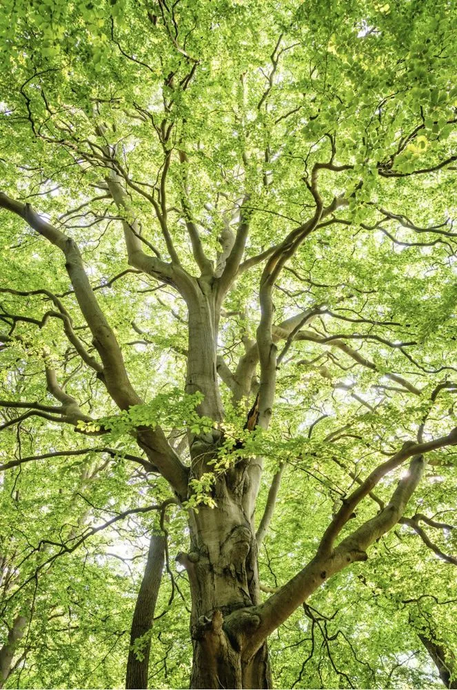 Top-rated landscape installation experts serving Sioux City, IA - Wolfe-Sharp Lawn Service