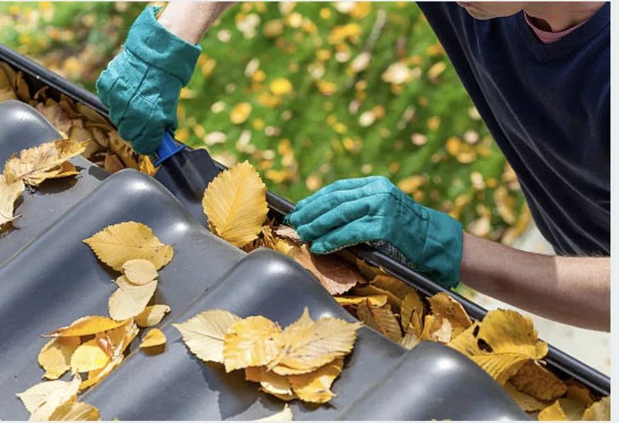 Professional outdoor landscaping experts serving Sioux City, IA - Wolfe-Sharp Lawn Service