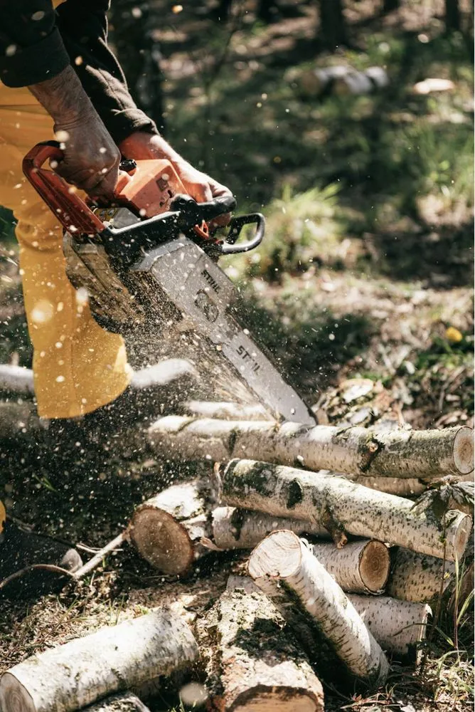 Affordable landscaping services in Sioux City, IA by Wolfe-Sharp Lawn Service