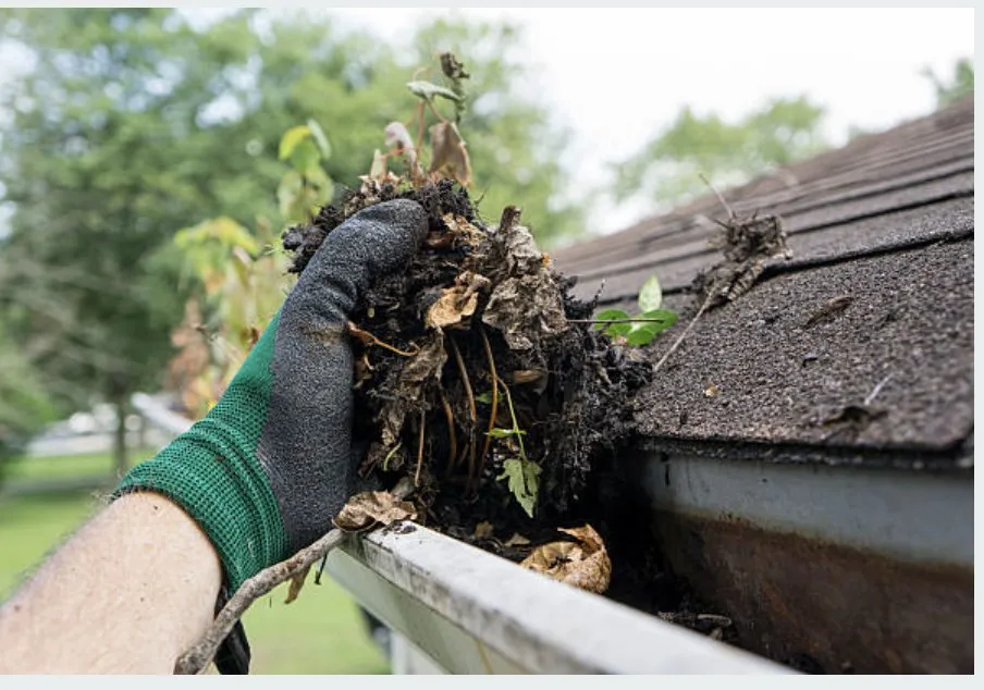 Reliable yard maintenance experts serving Sioux City, IA - Wolfe-Sharp Lawn Service
