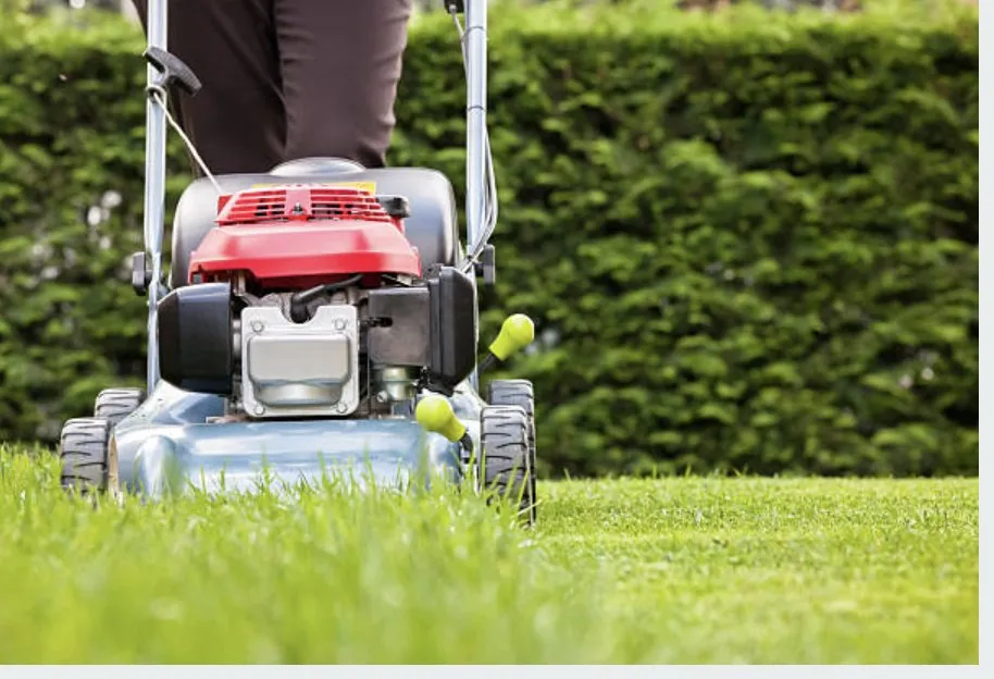Expert lawn mowing service in Sioux City, IA by Wolfe-Sharp Lawn Service