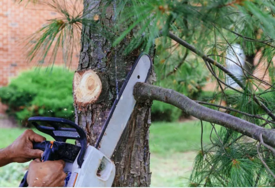 Affordable yard cleanup service for beautiful yards across Sioux City, IA - Wolfe-Sharp Lawn Service