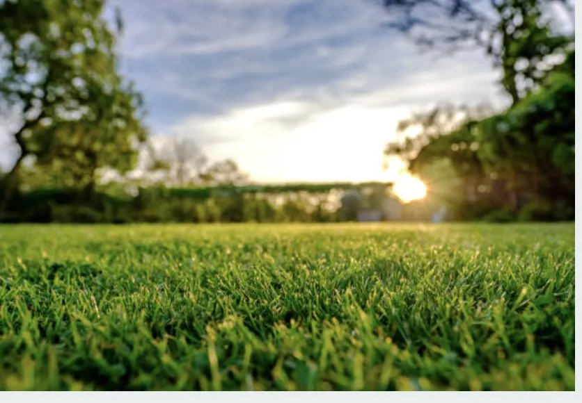 Reliable residential landscaping for residential properties across Sioux City, IA - Wolfe-Sharp Lawn Service