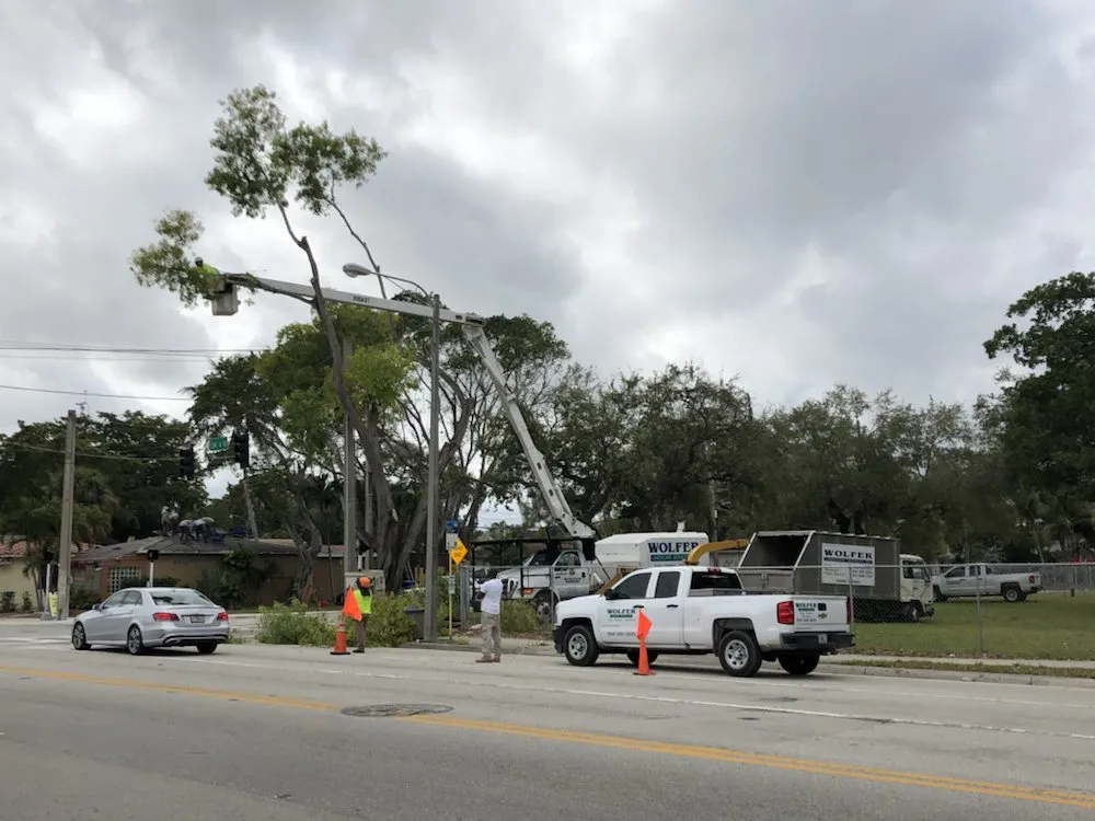 Expert garden landscaping in Davie, FL - Wolfer Landscape Services