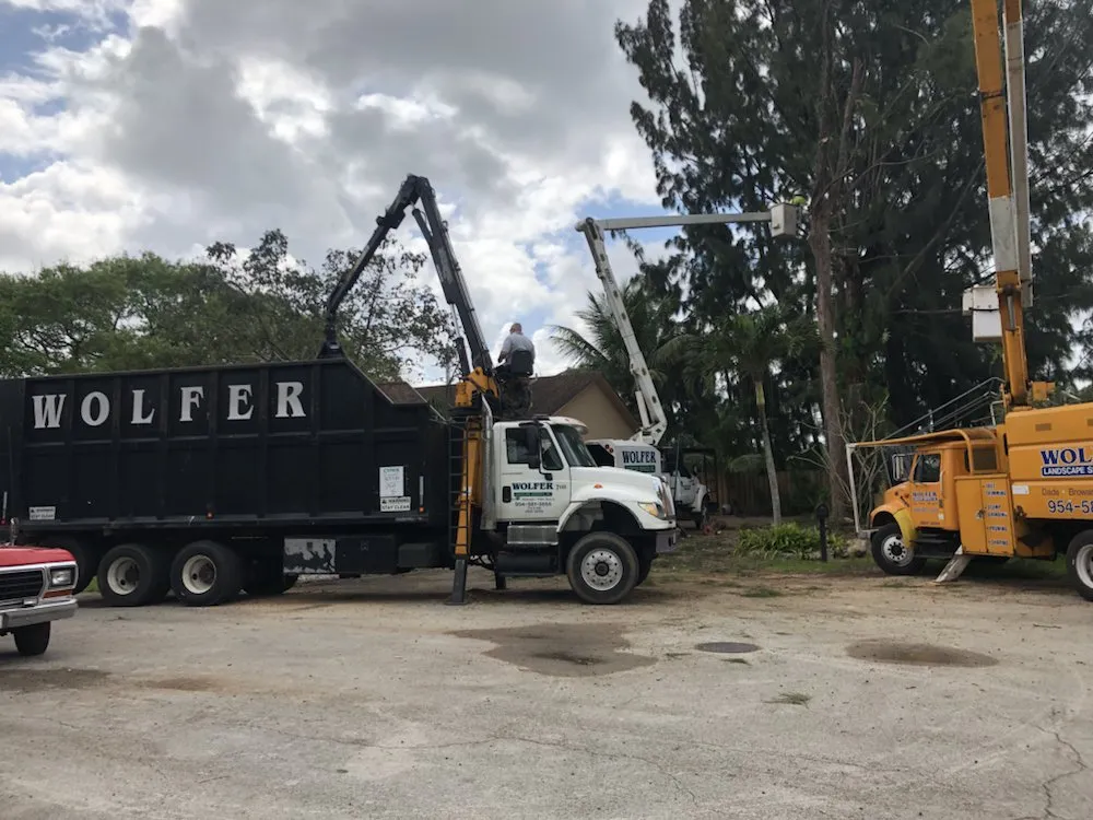 Expert garden landscaping experts serving Davie, FL - Wolfer Landscape Services