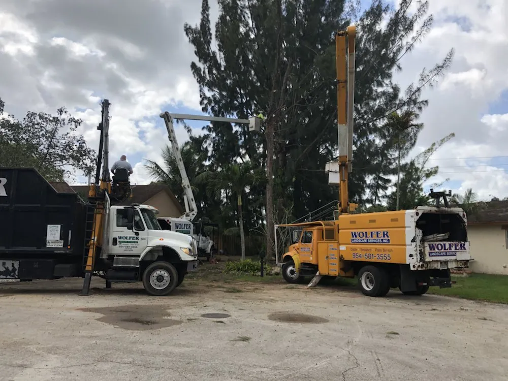 Professional landscape design in Davie, FL - Wolfer Landscape Services