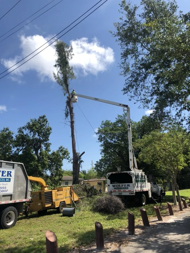 Trusted landscape installation for outdoor upgrades in Davie, FL by Wolfer Landscape Services