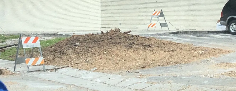 Trusted garden landscaping for homes across Davie, FL - Wolfer Landscape Services