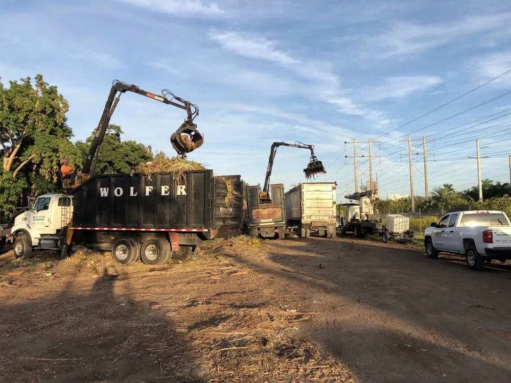 Custom garden landscaping experts serving Davie, FL - Wolfer Landscape Services