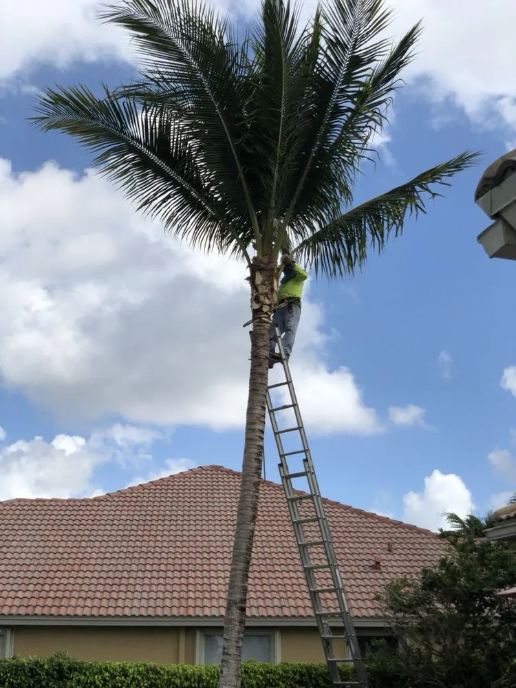 Expert outdoor landscaping with custom design across Davie, FL - Wolfer Landscape Services