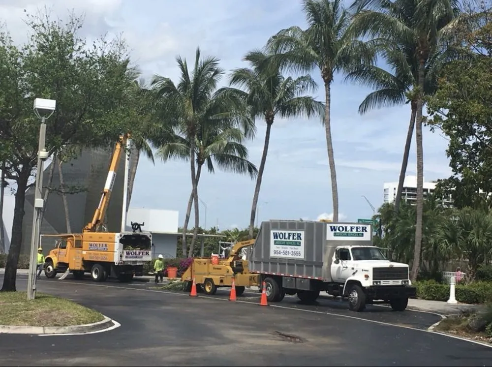 Custom lawn care service with custom design in Davie, FL by Wolfer Landscape Services