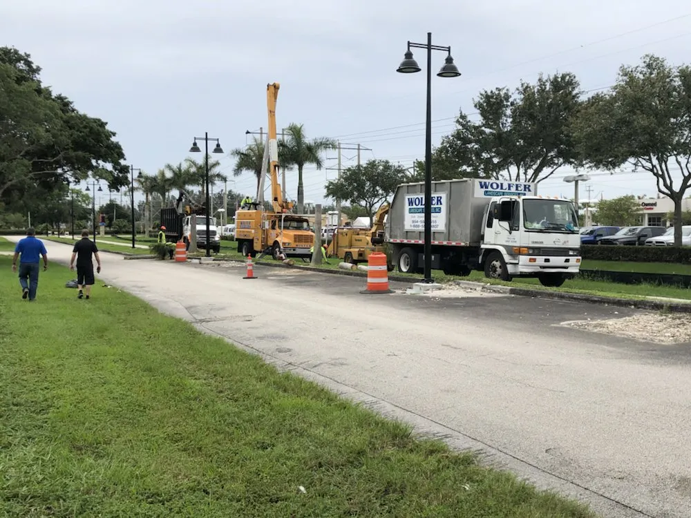 Expert residential landscaping experts serving Davie, FL - Wolfer Landscape Services