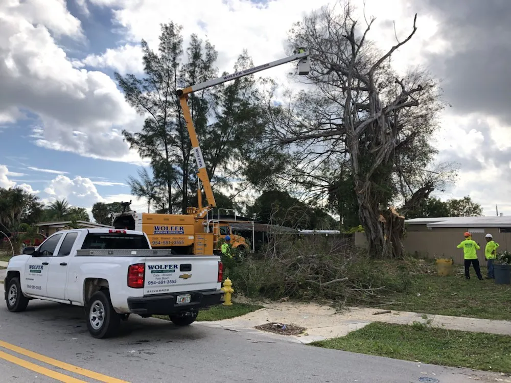 Professional landscaping services in Davie, FL - Wolfer Landscape Services