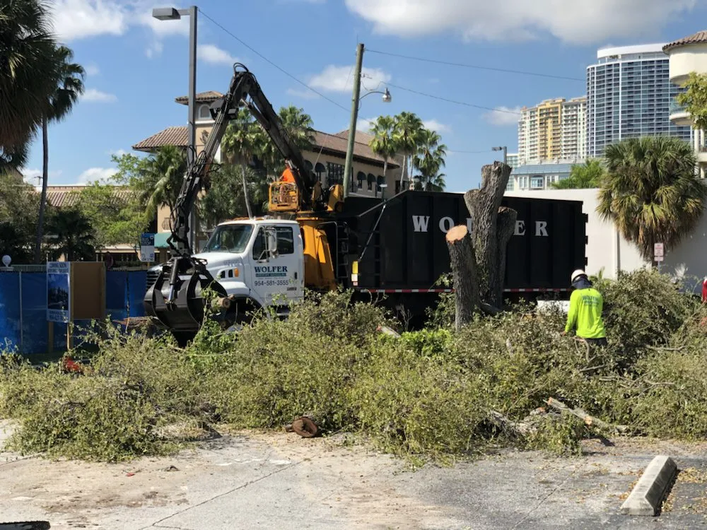 Top-rated landscape design in Davie, FL - Wolfer Landscape Services