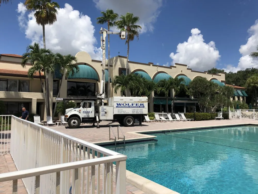 Trusted landscaping services with custom design across Davie, FL - Wolfer Landscape Services