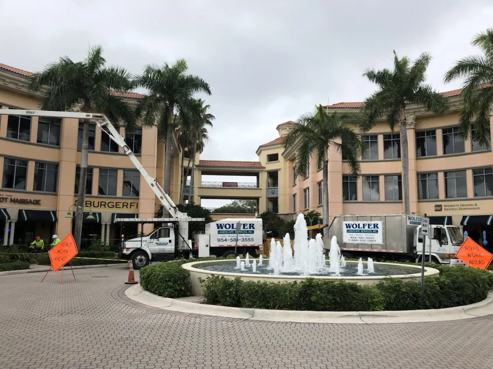 Affordable landscape design experts serving Davie, FL - Wolfer Landscape Services