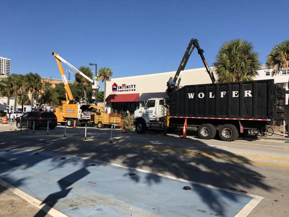 Expert landscaping services for beautiful yards in Davie, FL by Wolfer Landscape Services