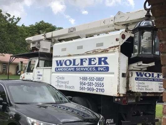 Wolfer Landscape Services Logo