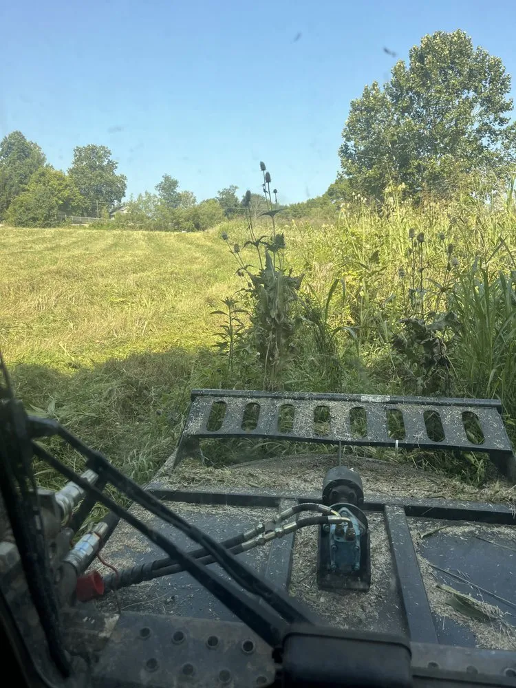 Professional yard cleanup service near you across Burlington, KY - Wolfe's landscape construction