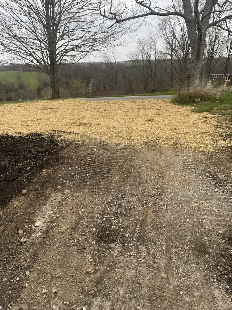 Custom yard cleanup service in Burlington, KY - Wolfe's landscape construction